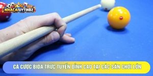 Cá Cược Bida Trực Tuyến Đỉnh Cao Tại Các Sân Chơi Lớn