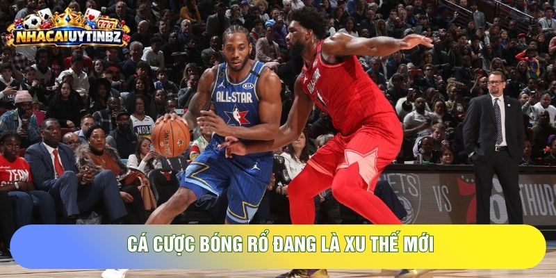 Cá cược bóng rổ đang là xu thế mới