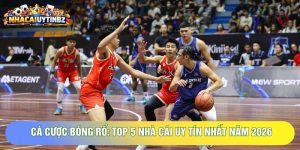Cá Cược Bóng Rổ: Top 5 Nhà Cái Uy Tín Nhất Năm 2026