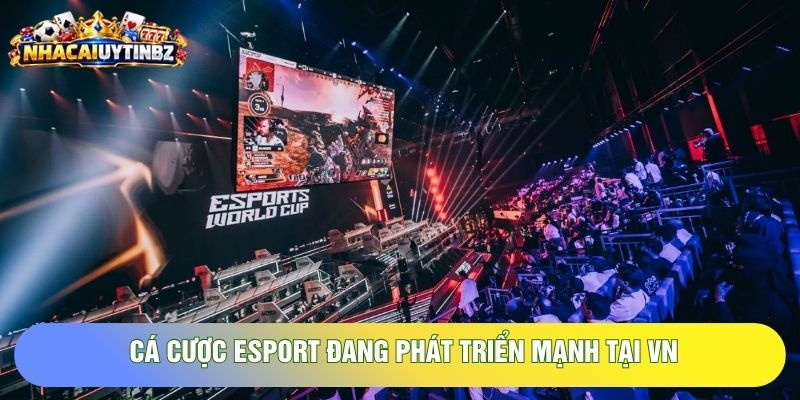 Cá cược Esport đang phát triển mạnh tại VN Cá cược Esport đang phát triển mạnh tại VN