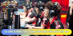 Cá Cược Esport: Top 5 Sảnh Cược Đáng Chơi Nhất Hiện Nay
