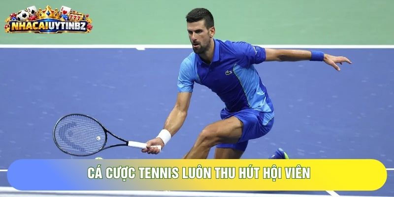 Cá cược tennis luôn thu hút hội viên Cá cược tennis luôn thu hút hội viên