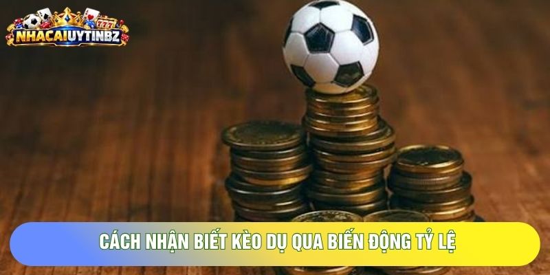 cách nhận biết kèo dụ qua biến động tỷ lệ cách nhận biết kèo dụ qua biến động tỷ lệ