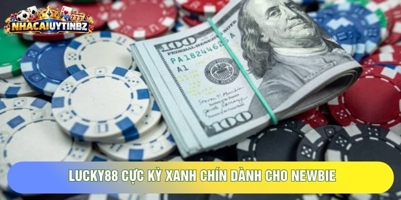 Lucky88 cực kỳ xanh chín dành cho newbie Lucky88 cực kỳ xanh chín dành cho newbie